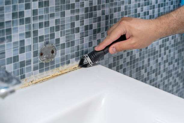 Best Residential Mold Remediation in Valhalla, NY